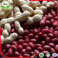 Red Round Red Peanut Kernels